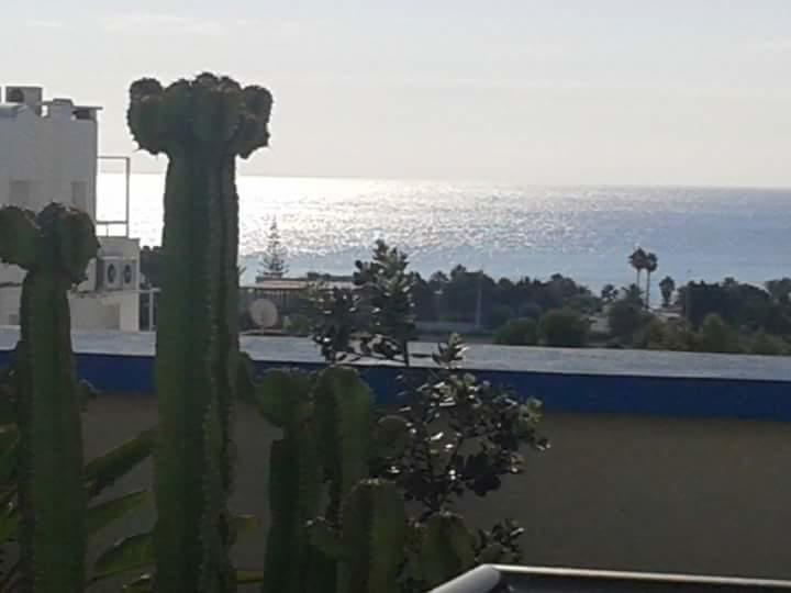 Le Lagon De Hammamet Luaran gambar