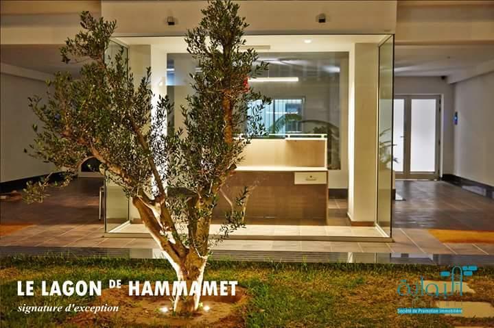 Le Lagon De Hammamet Luaran gambar